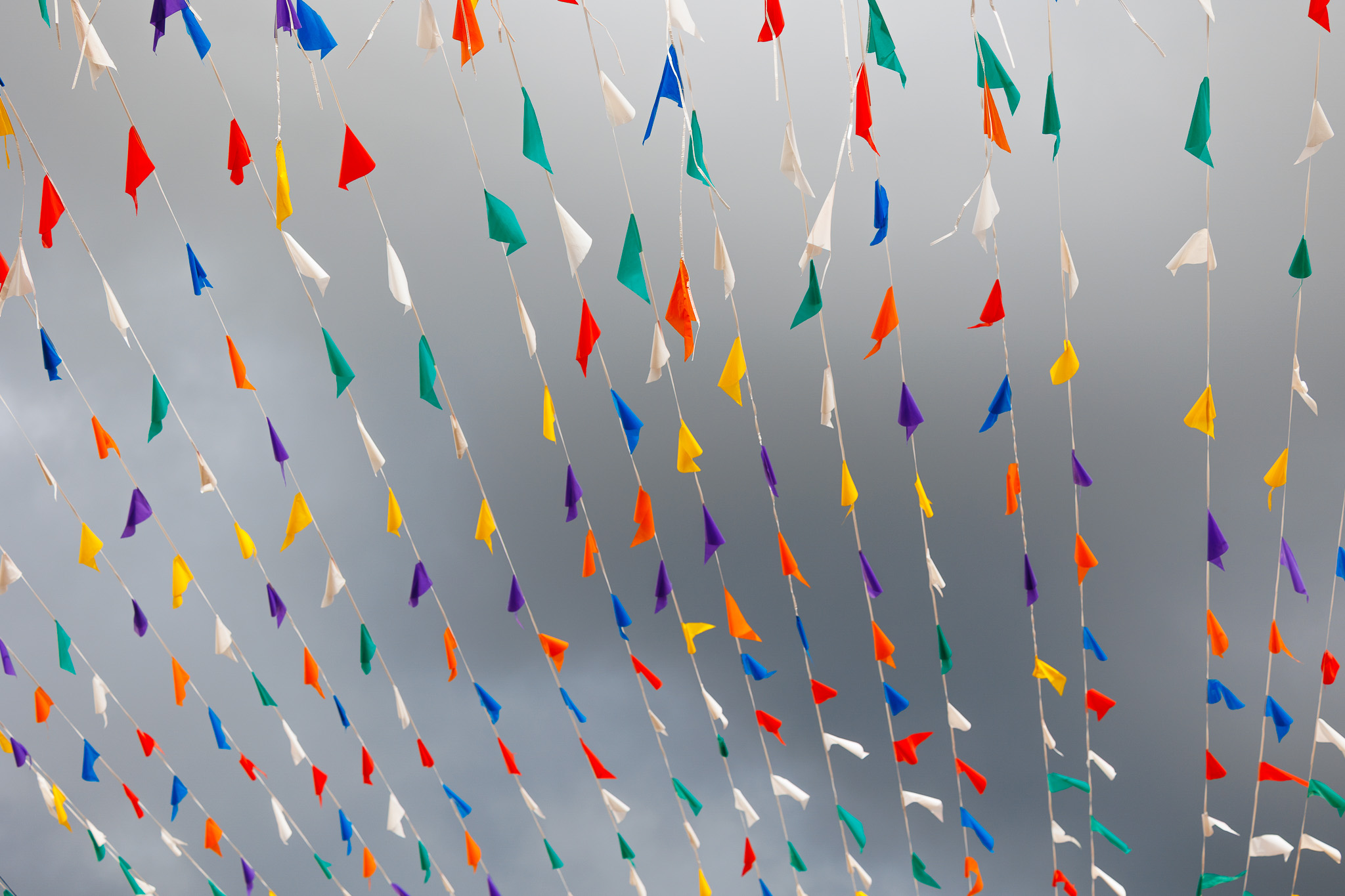 20240212-Cancioneiro-WEB-1